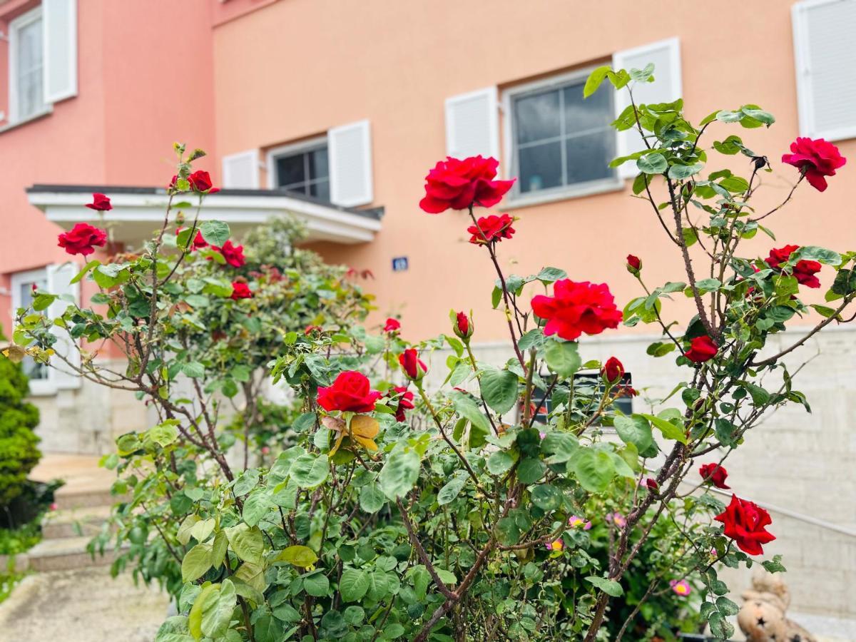 Appartement Casa Cino à Umag Extérieur photo